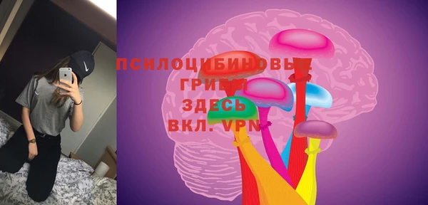 ешки Волосово